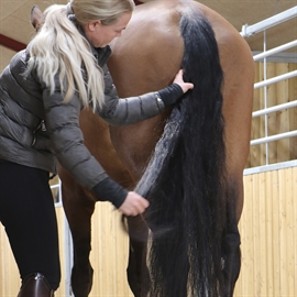 Nathalie Easy mane & Tail Gel -  Flere Størrelser